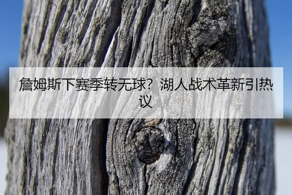 詹姆斯下赛季转无球？湖人战术革新引热议